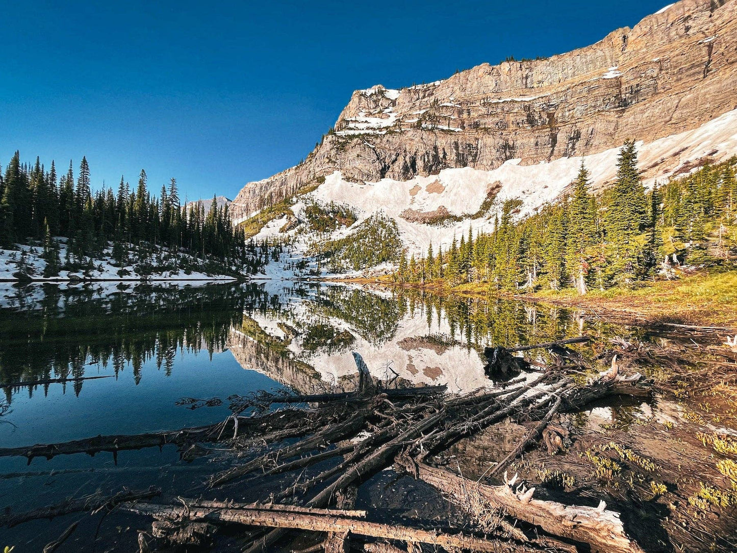 The Great Divide: Walking the Continental Divide Trail